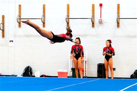 Gymnastics-2585