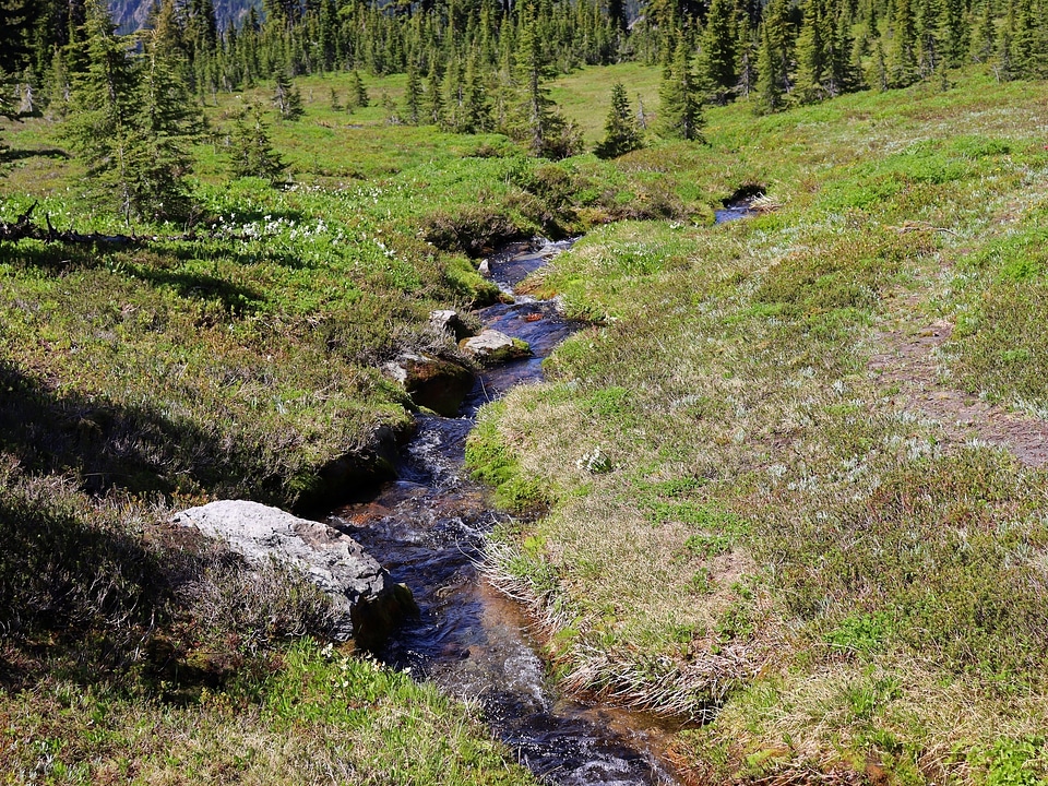 Goat Rocks Wilderness