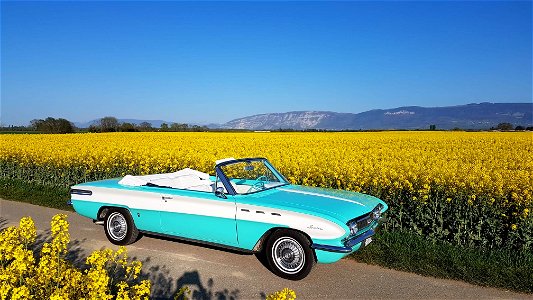 Buik Skylark 1962  convertible