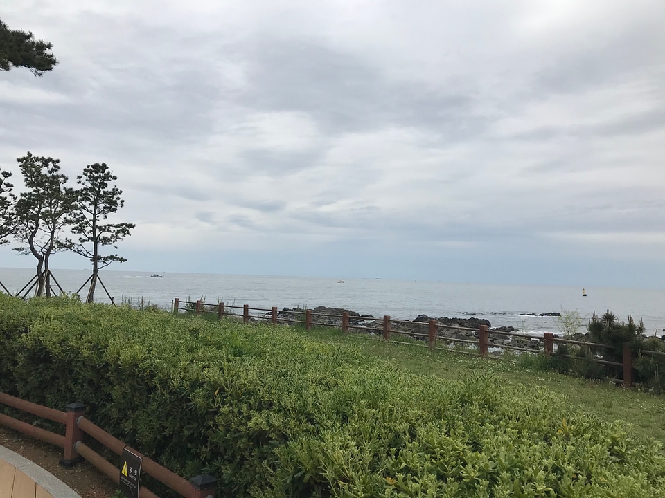 Haeundae Dongbaekseom in Busan Korea