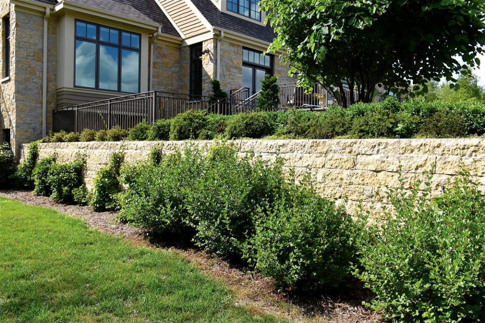 BEAVER CREEK SAWED WALLSTONE