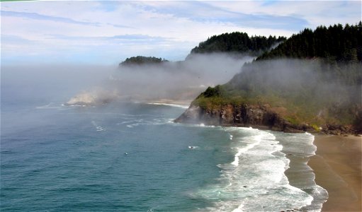 Oregon coast in mist photo