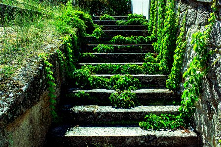 Green stairs photo