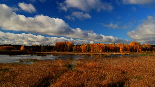 Siikalahden ruska