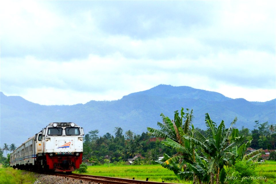 Kereta Api Siliwangi
