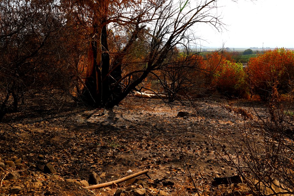 After The Fire 2