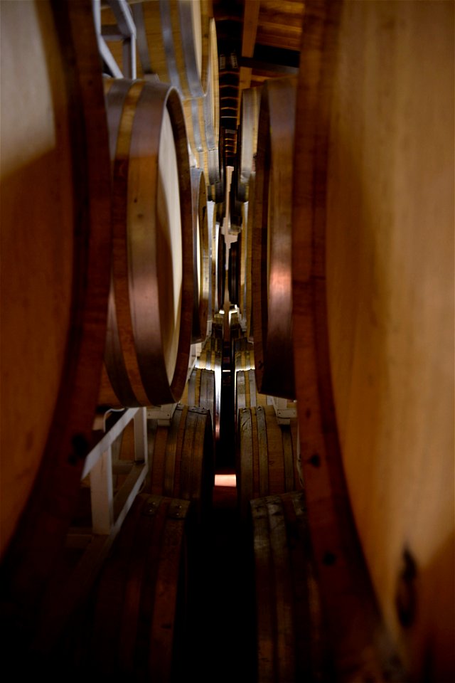 Bottaia in legno | Lorenzo Fidora Padova