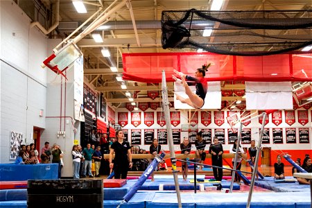 Gymnastics-2473
