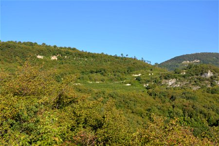 I vigneti Valpolicella | Lorenzo Fidora photo