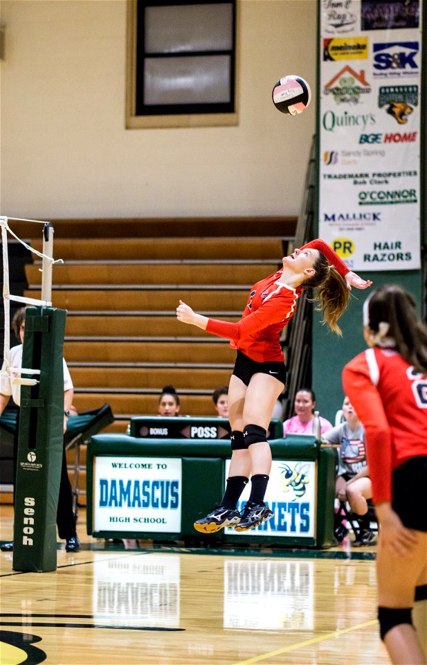 QO@Damascus-3