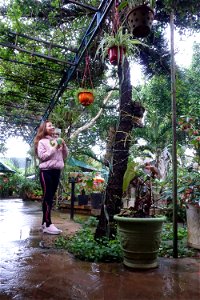 DSC03631