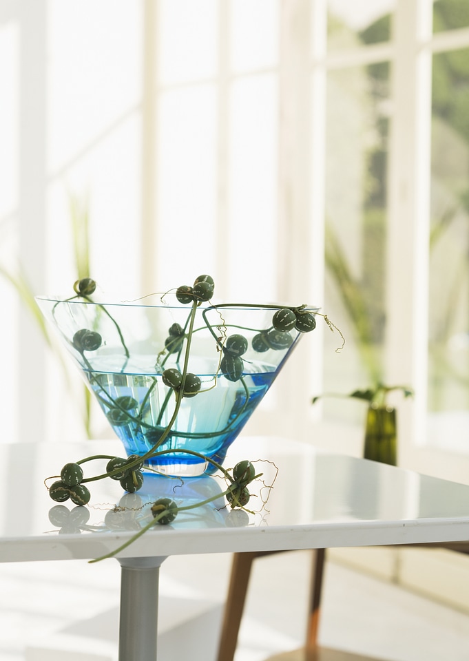 Vase on glass table with sofa