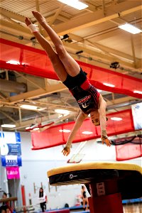 Gymnastics-2323