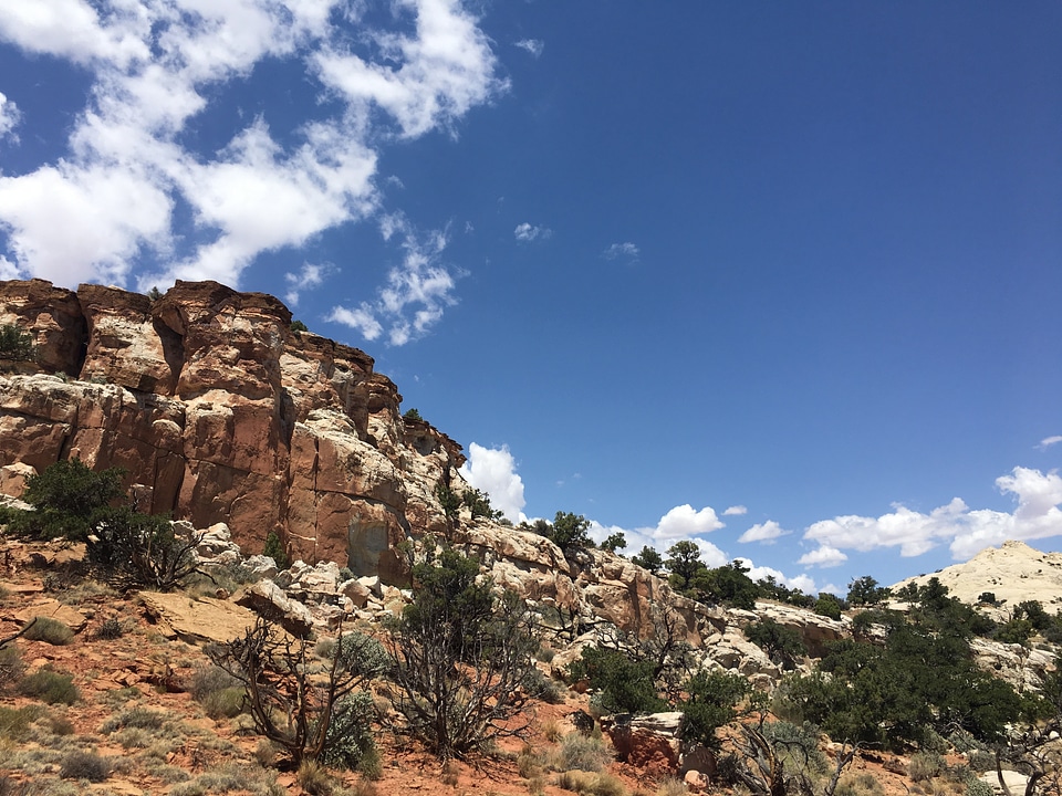 Beautiful landscape of Zion National Park,Utah
