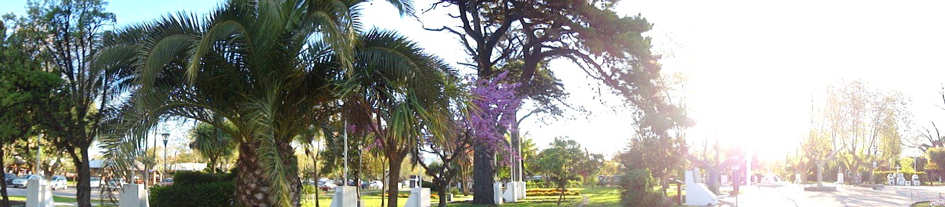 DSC01048-001 (Copiar)