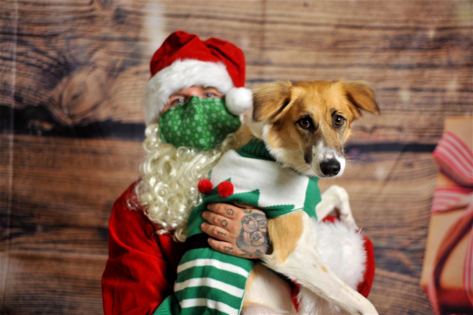 City of Elderly Love Claus for Paws Fundraiser