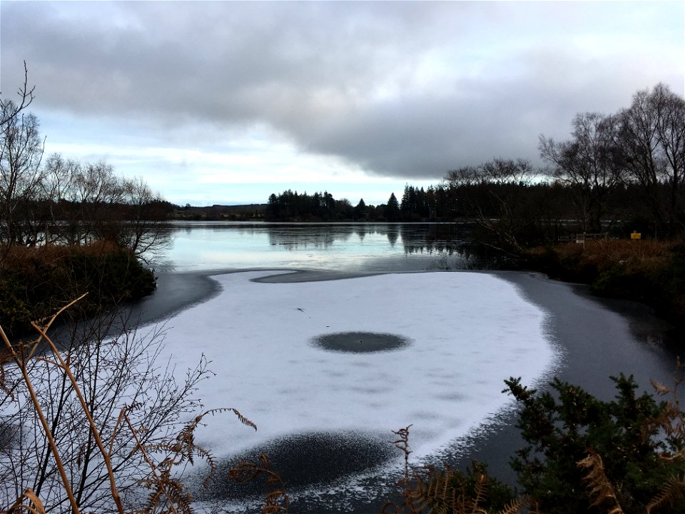 Frozen Vartry Reservoir