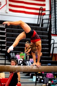 Gymnastics-2205