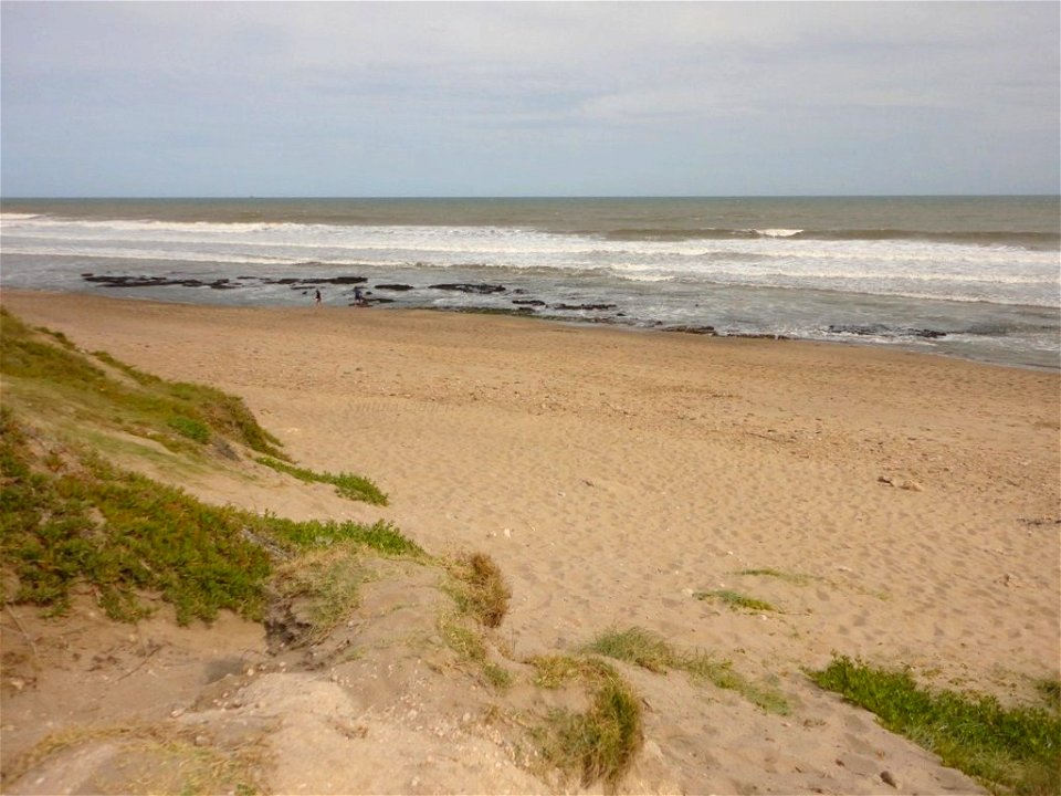 DSC01790 (Copiar)
