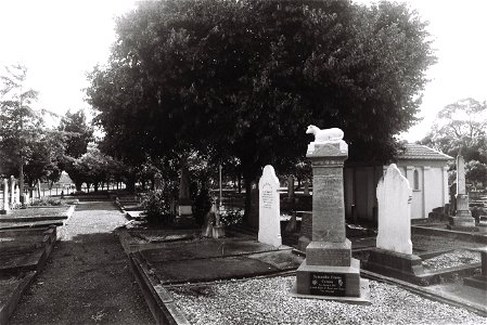 Terrace End Cemetery (2023) photo