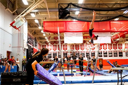 Gymnastics-2460