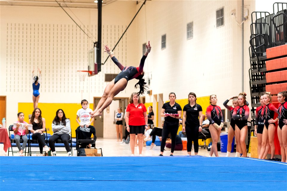 Sectional Finals-7347