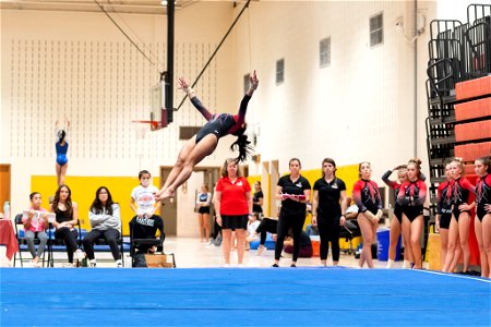 Sectional Finals-7347