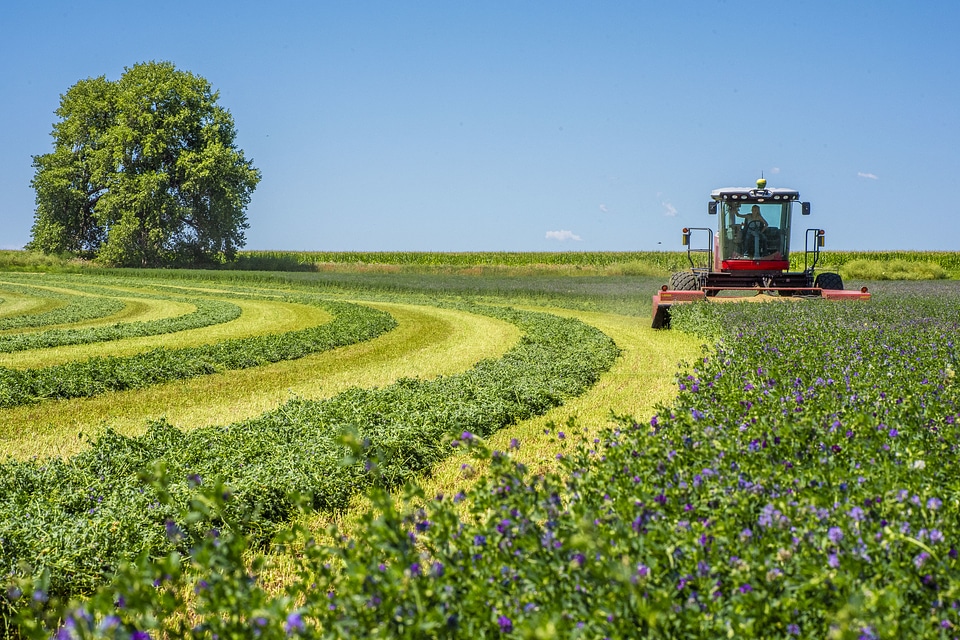 Red tractor in the field
