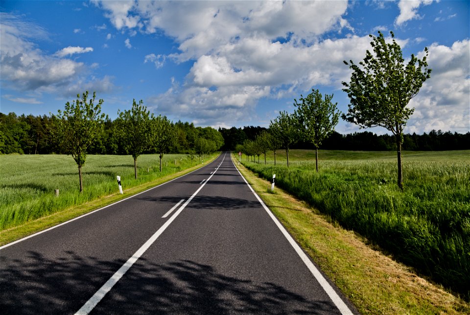Allee Uckermark 01