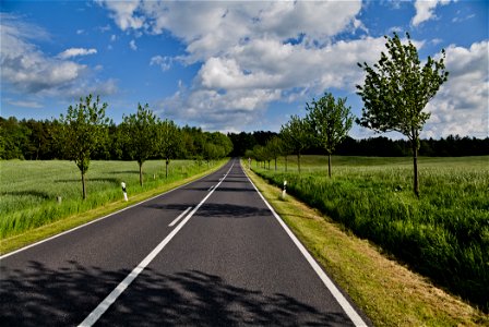 Allee Uckermark 01 photo