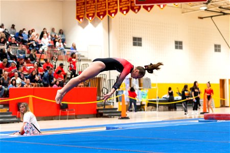 Sectional Finals-7306