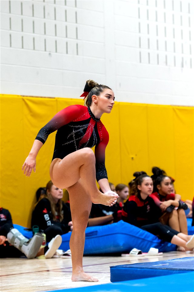 Sectional Finals-7243