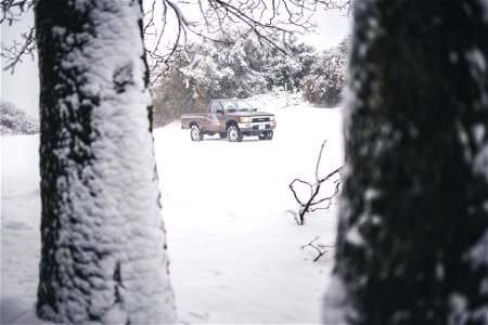 Snow Day