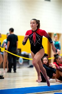 Sectional Finals-7620