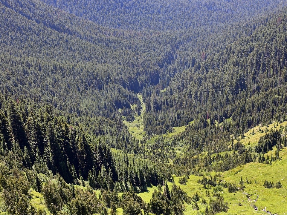 Goat Rocks Wilderness