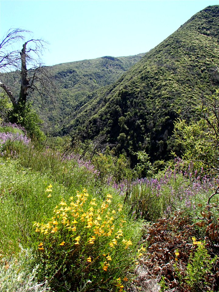 Fort Hunter Liggett, Jolon & Indians Spring 2015