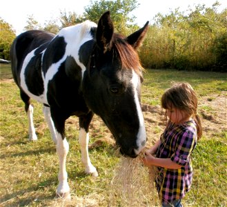 Spirit and Nommie photo