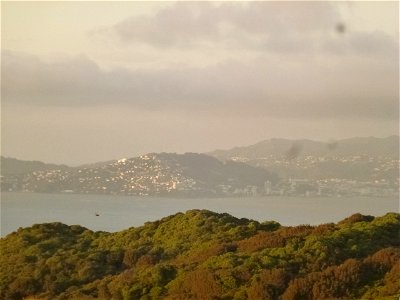P1030783