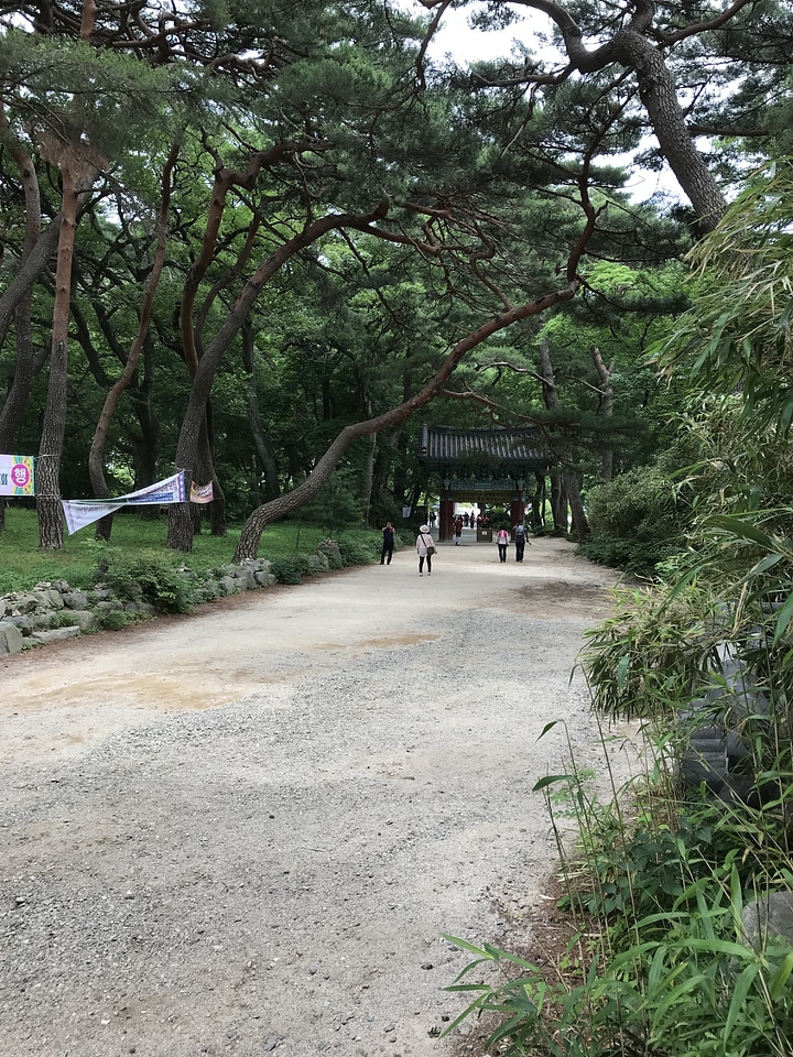 Bokyung Temple National Park