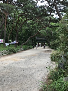 Bokyung Temple National Park