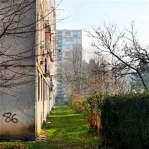 Allotment Gardens in Zagreb (Siget) photo