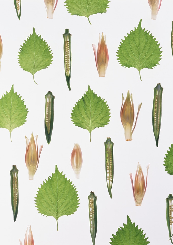 Background made from vegetables