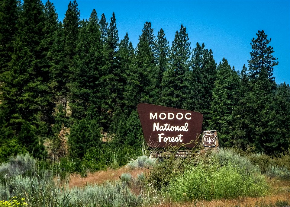 Modoc NF_Ken Lund