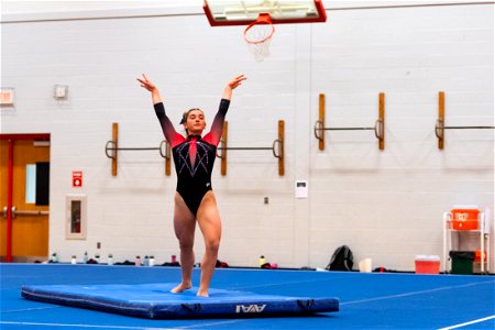 Gymnastics-2675 photo