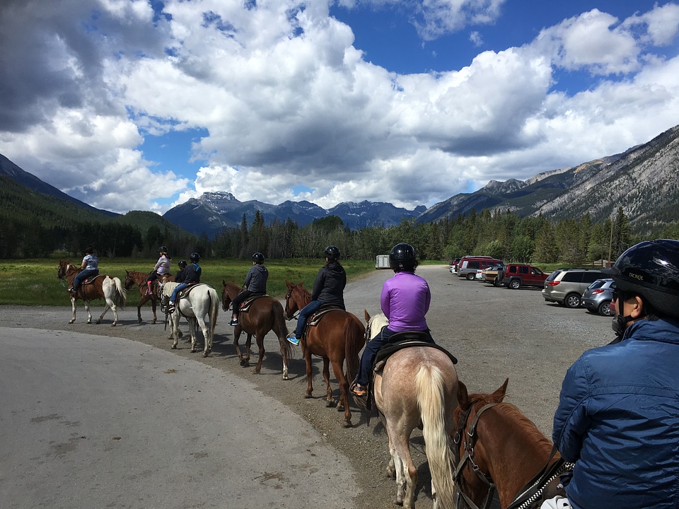 Horse tours near Edith a Annette Lake in Jasper National Park