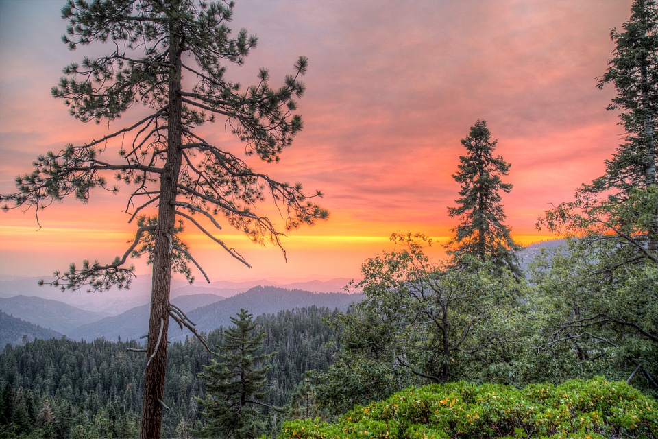 Sequoia National Park