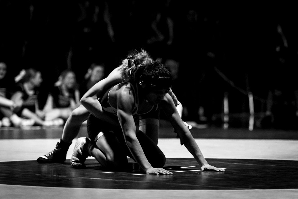 HC vs North-4177