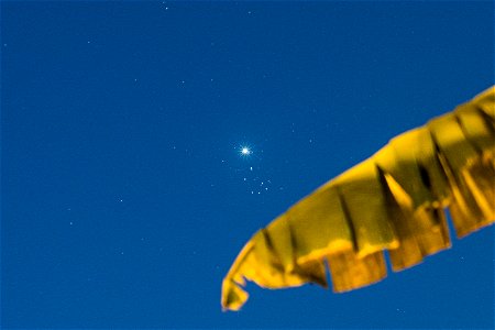 Venus and Pleiades Conjunction