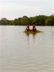 Swiming 2 athe river photo