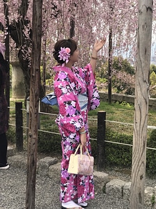 A attractive Japanese woman wearing kimono
